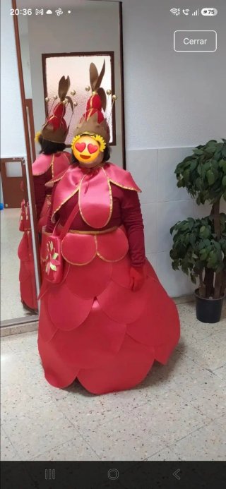 Disfraz de flor rojo y dorado