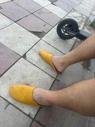 Babuchas de Piel de Dromedario