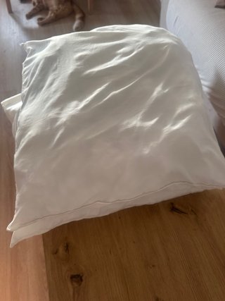 2 Cojines IKEA Blancos