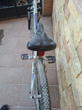 Bicicleta Orbea 24