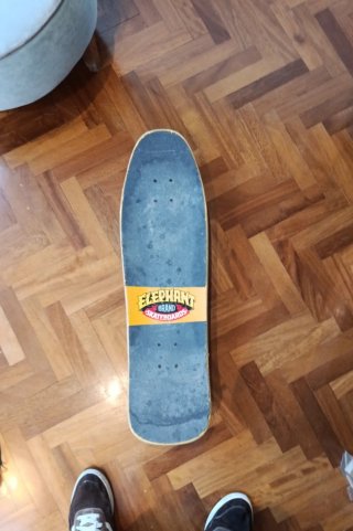 Skate Elephant noside old school