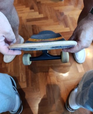 Skate Elephant noside old school