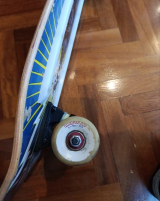 Skate Elephant noside old school
