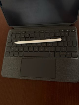 iPad Pro 11 (4ª Gen) 256GB