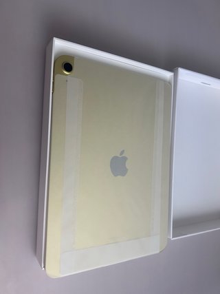 iPad A16