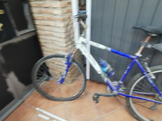 Bicicleta de Montaña Globe Trotter