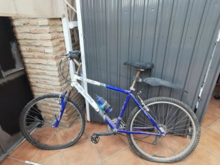 Bicicleta de Montaña Globe Trotter