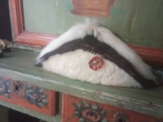 Gorro Napoleónico 1900 Piel