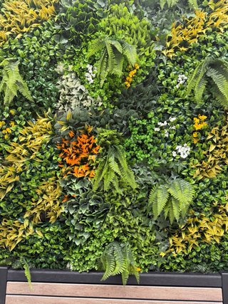Armario de Cultivo para Plantas