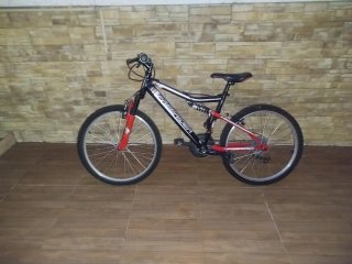 Bicicleta Montaña Ruedas 24 Freerider