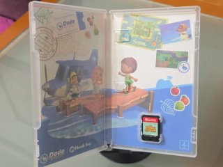 Animal Crossing New Horizons Nintendo Switch