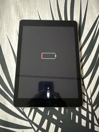 iPad Apple Negro