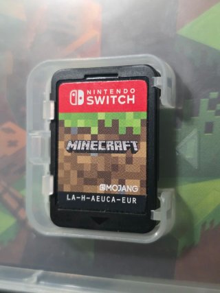 Minecraft Nintendo Switch