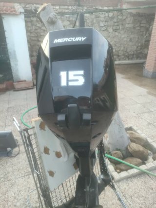 Motor Fueraborda Mercury 15 CV EFI