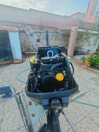 Motor Fueraborda Mercury 15 CV EFI