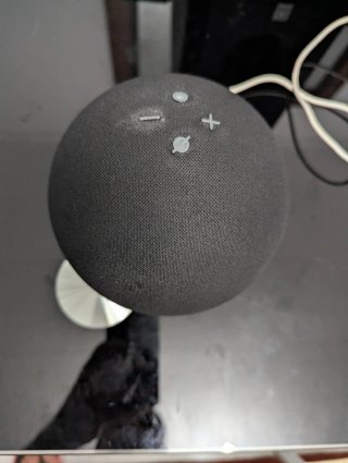 Echo Dot 4 full size