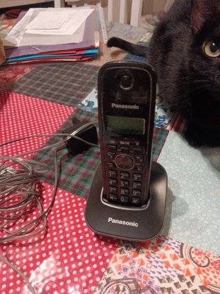 Teléfono Inalámbrico Panasonic Negro