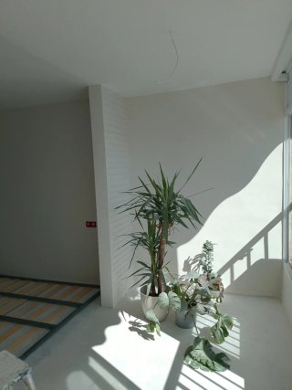 Whatsapp 614534953 Pinturas de piso Pladur  Reform