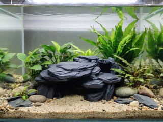 Cueva de plástico para Acuario