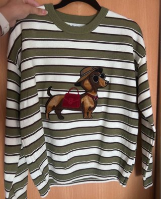 Jersey rayas verde y blanco perro