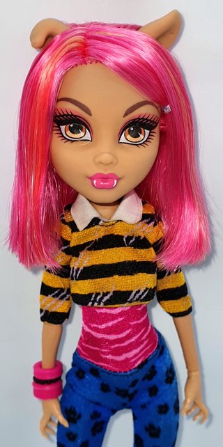 Monster High Howleen Wolf A Pack Of Trouble 4-pack