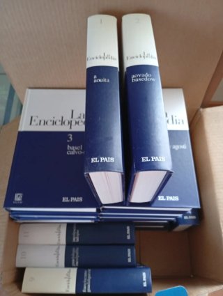 Libros en lote son 20