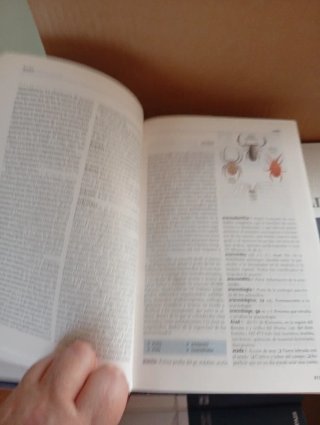 Libros en lote son 20