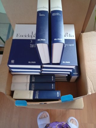 Libros en lote son 20