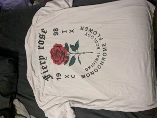 Lote de camisetas
