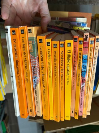 Lote de 13 libros el barco de vapor