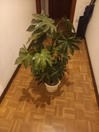 Planta Artificial Decorativa 100 cm