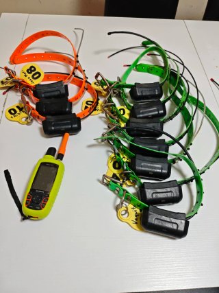 Garmin Astro 320 + 10 Collares DC40 americanos.