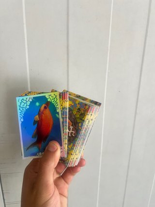 Pack 300 Cartas Animal Panini