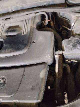 Despiece Motor BMW 320