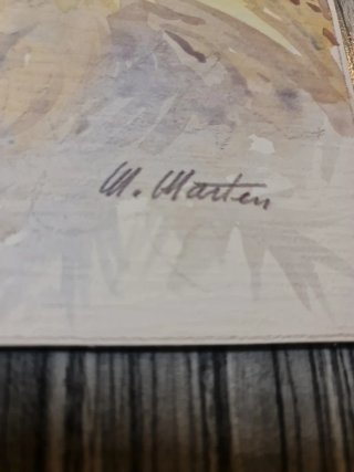 Set de 2 Láminas  Meri Marten