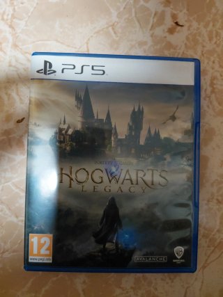 Harry Potter Hogwarts Legacy PS5