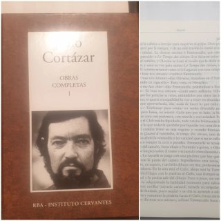 Lote de libros. 9 novelas y uno de poesía