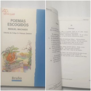 Lote de libros. 9 novelas y uno de poesía