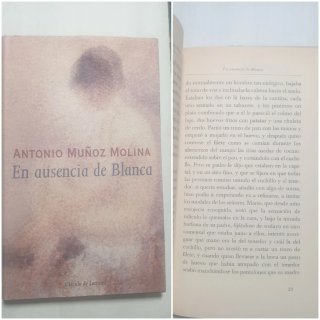 Lote de libros. 9 novelas y uno de poesía