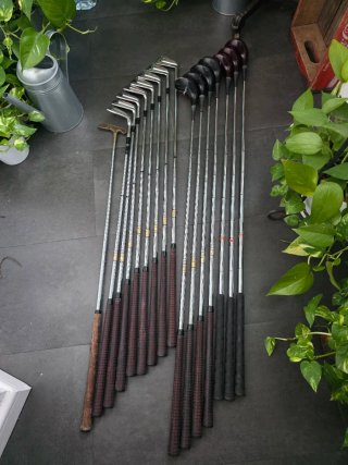 Set de Palos de Golf Dunlop.