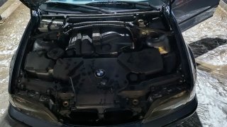 '04 BMW E46 Touring 318i (pegatina C)