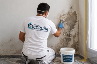 Pintor profesional para toda el área de Coruña