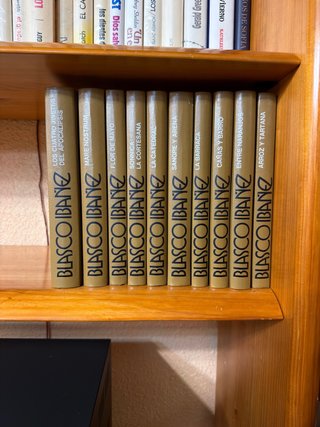 Lote 10 libros Vicente Blasco Ibáñez
