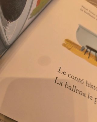Libro Álbum Ilustrado La Ballena