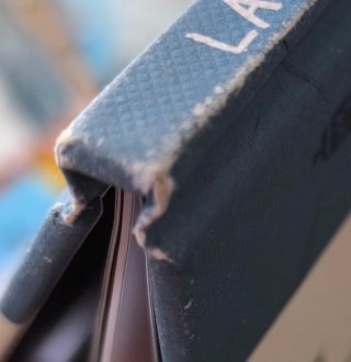 Libro Álbum Ilustrado La Ballena
