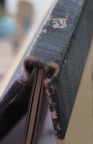 Libro Álbum Ilustrado La Ballena
