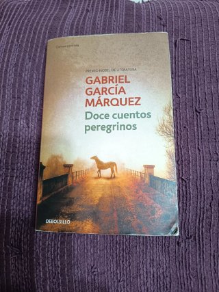 Doce cuentos peregrinos