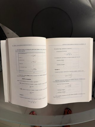 Maple V. Aplicaciones Matemáticas para PC.