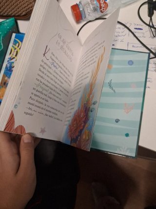 Libro tea sillón