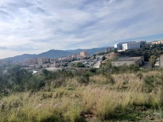 Hago limpieza de fincaz o jardines